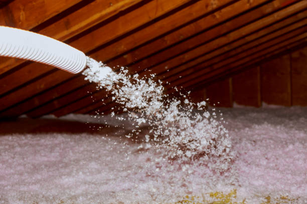 Attic Insulation Near Me in Tenaha, TX