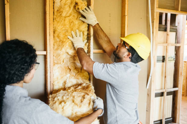 Best Blown-in Insulation  in Tenaha, TX