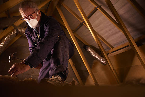 Trusted Tenaha, TX Insulation Contractor Experts